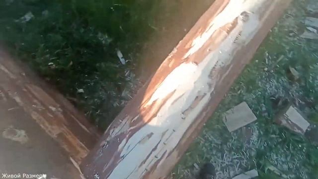 Как прирубить бревно/рубка сруба в лапа-чаша