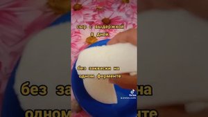 сыр из козьего молока без закваски