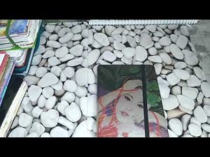 БЛОКНОТЫ,КОТОРЫЕ Я ВЕДУ