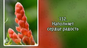 Гимны надежды 132 Наполняет сердце радость (-)