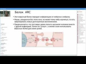О действии Трансфер Фактора врач-кардиолог, кмн Агиевич Татьяна