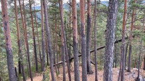 Поездка на скалу Мамбет на Lada 4x4 Нива