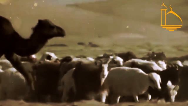 Сира пророка. Часть 2 смотреть онлайн