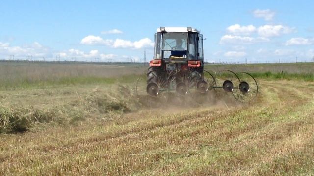 Сенокос 2017. Грабли Палех 5-колесные. Трактор Янмар F455 смотреть онлайн