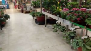 Оранжерея в ТЦ " Твой Дом " город Москва