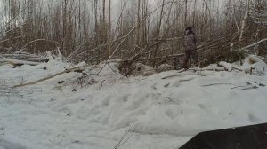 Irbis Tungus 600L . Поездка за дровами.