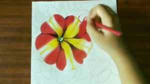 Petunia flower drawing | How to draw Petunia flower | Pencil Colour and Oil Pastel