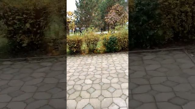 Аренда ОФИСА С МЕБЕЛЬЮ