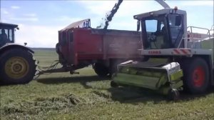 Заготовка силоса в ОАО Леднево-2014