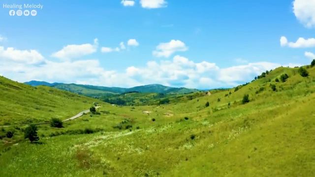 Musica Para Relajar El Sistema Nervioso 🌿 Olvida Todo Tu Estrés Y Preocupaciones Con Estos Sonidos