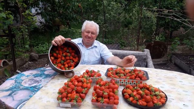 На даче в 2017 году. смотреть онлайн