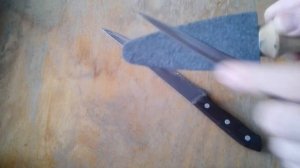 Видео: Как правильно точить ножи домашним точилом?