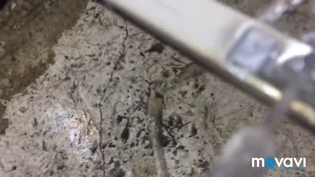 Тонировка со съемом заднего стекла