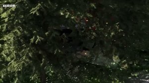 BeamNG.Drive Mod : Ferrari F40 (Crash test)