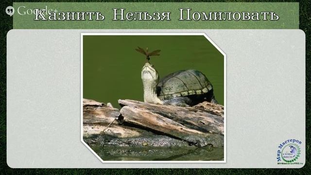 «Волшебное Лето Богини» - 6 - 14.07.2014 смотреть онлайн