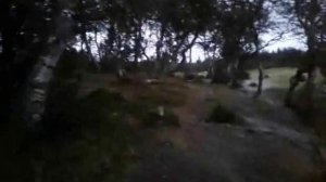 Озёра Карелии и Белое море