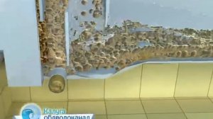 ГП "Калугаоблводоканал". Как очищается вода до питьевой