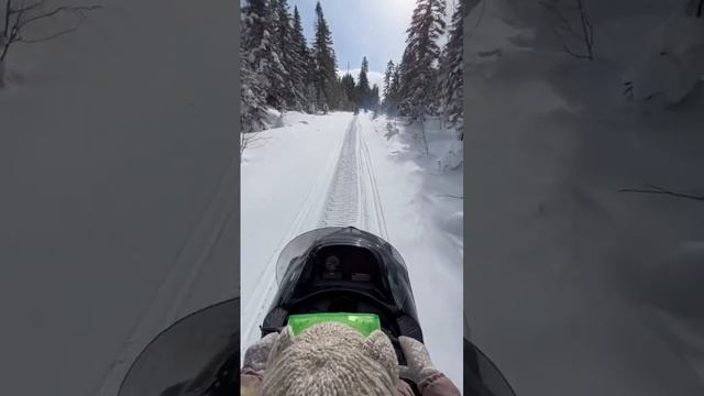 Снегоходы. Часть 1 #амут #снегоходы #зима #хабаровск #комсомольск #отпуск смотреть онлайн