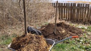 Бизнес идеи абсолютно без копейки вложений