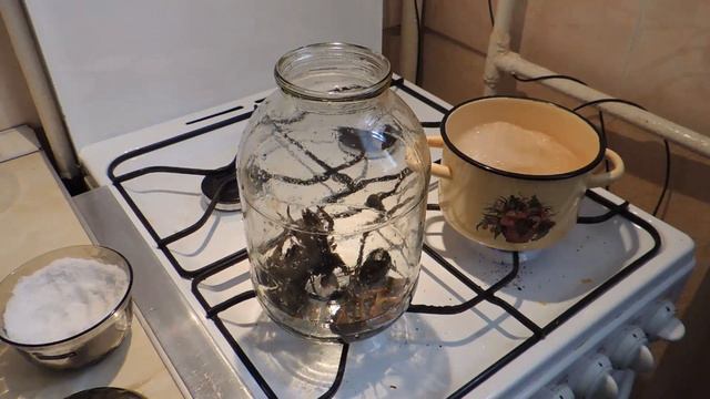 Варим Раков. Самый Простой рецепт Приготовления. смотреть онлайн