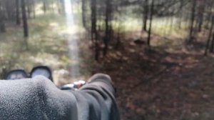 Покатушки по лесу иж планета 5