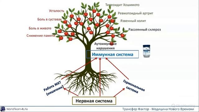 Трансфер факторы при аутоиммунных заболеваниях. Смирнова С.В. Врач-инфекционист, иммунолог. (1)
