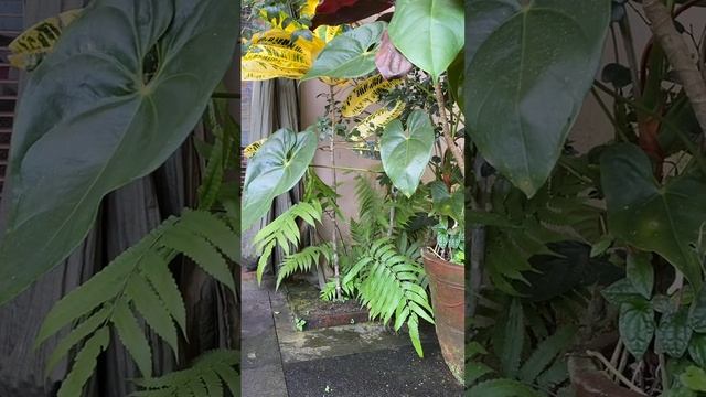 Мир, в котором Я ЖИВУ… ?? Открывая Сердце ? смотреть онлайн