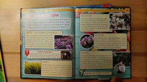 Лоскутность - недостаток многих современных книг и игр