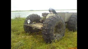 Болото в сентябре 2013 г.
