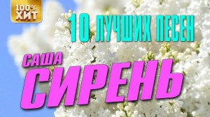 Саша Сирень - 10 лучших песен | Русский шансон