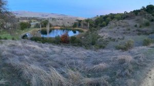 Ohlone Trail Hike | Santa Teresa County Park | San Jose | Bay Area | Things To Do In California