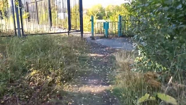 Давно не готовила Поджарку из свинины.Сегодня протопала 6,5 км ? смотреть онлайн