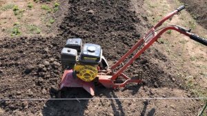 РОЗАРИЙ. КАК Я ЕГО СОЗДАВАЛ. ДИЗАЙН САДА СВОИМИ РУКАМИ. ВСЕ О РОЗАХ И НЕ ТОЛЬКО. РОЗЫ В НАШЕМ САДУ.