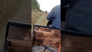 Поездка за дровами на муравьи с двигателем от мотоблока ?