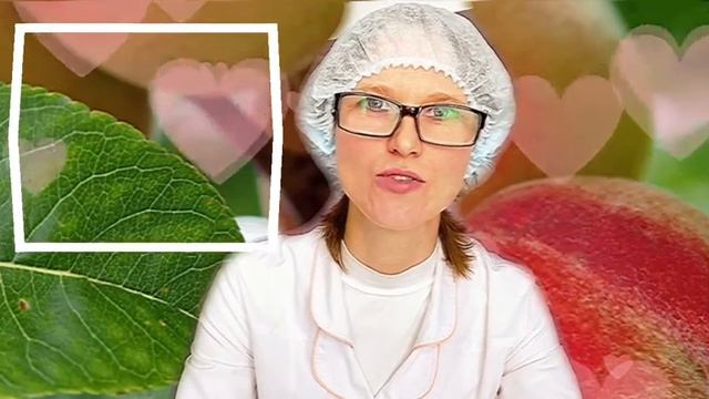 Функции жиров смотреть онлайн