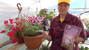 ЛУЧШАЯ ЛЕТНЯЯ ПОДКОРМКА ДЛЯ РОЗ И ПЕТУНИЙ. ОДИН РАЗ - И НА ВЕСЬ СЕЗОН!