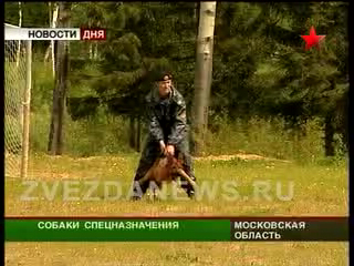Собака  друг человека. Юбилей российской кинологической служ