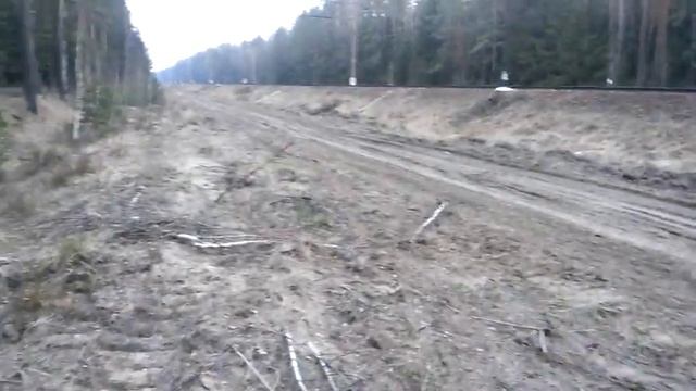 За подснежники к ответу смотреть онлайн