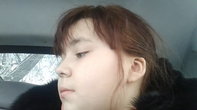 мой попугай тоша и лайма???? смотреть онлайн