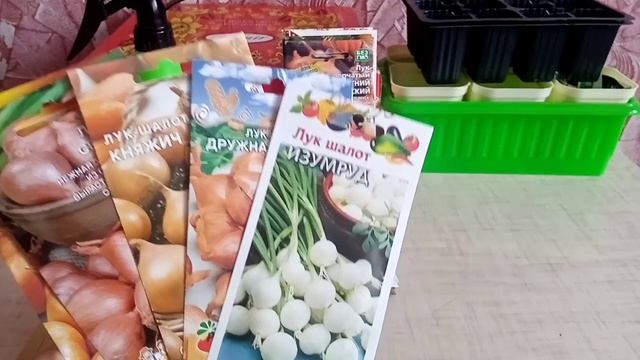 Мои семена лука. Шалот, на зелень и на репку.