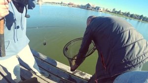 Ловим карпа | Рыбалка на озере | Платная рыбалка | Супер рыбалка