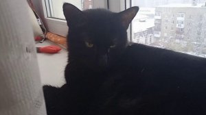 1 видео подпишись и поставь лайк??