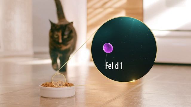 Introducing Purina Pro Plan LiveClear to Fight Cat Allergens смотреть онлайн