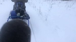 ✅Тест букса-толкача с передним модулем Альбатрос XL 8 втроем.