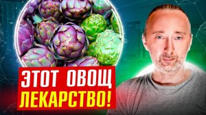 Артишок: для Почек, Печени, Кишок! Вы даже не представляете как ОН полезен! Эликсир здоровья.