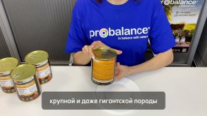 Консервированный корм для собак Probalance "Immuno", 850г