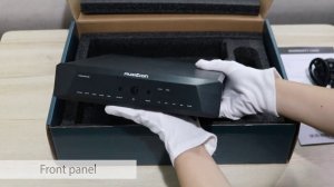 Musician Audio Pegasus R2R DAC