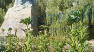 Знакомые места нашего города. Дзержинск Донецкая область.