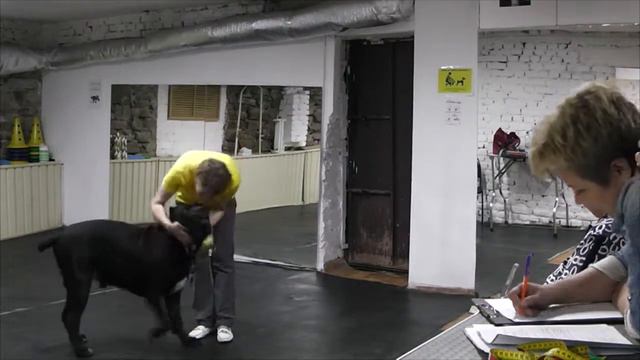 Племенной смотр 27.07.2019 ЧРОО ЛЖ "АРТ @" смотреть онлайн