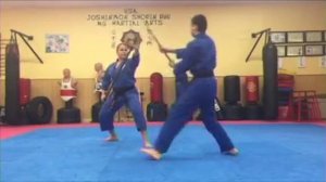 Joshinmon Shorin Ryu Karate